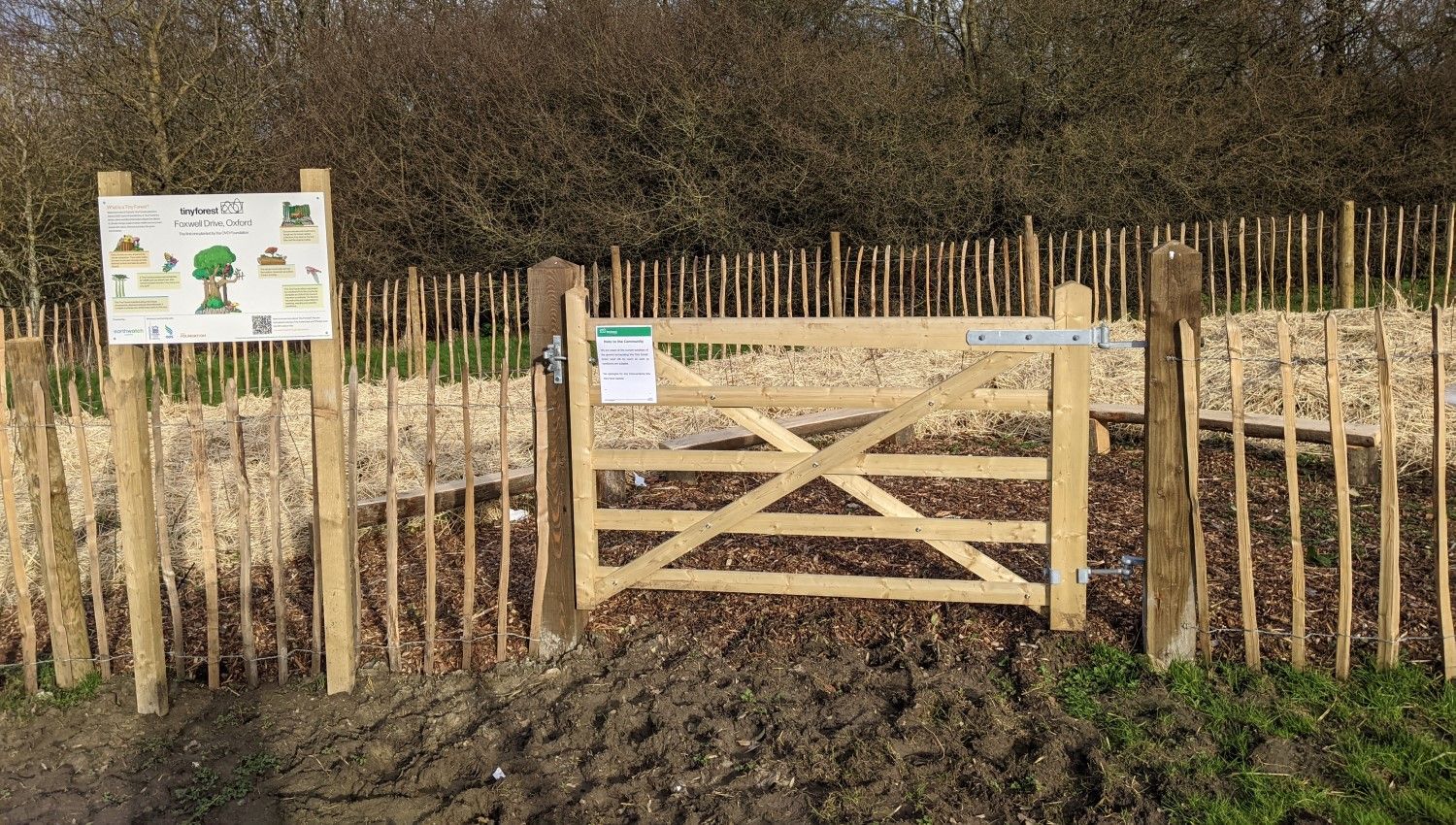 January 2021: Outdoor classroom area (Photo credit Kerstin Timm. Foxwell Drive)