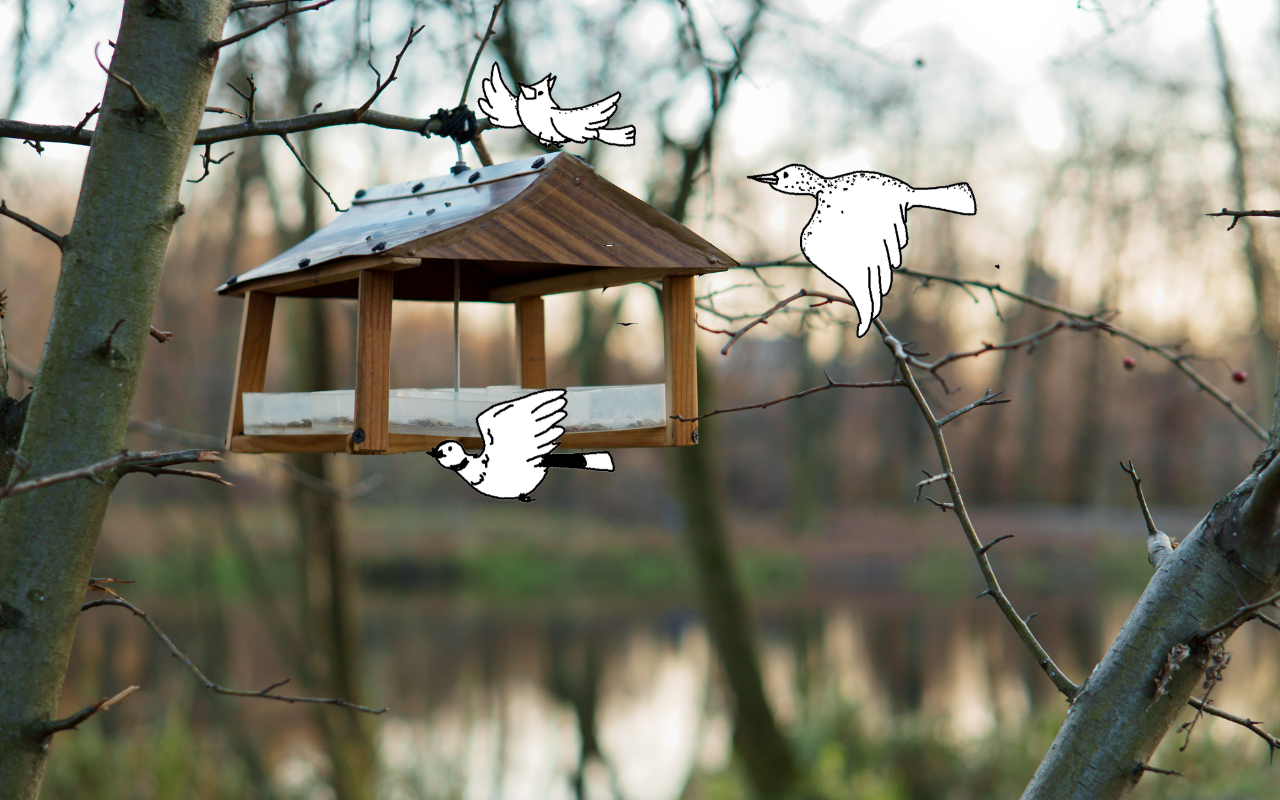 Birdfeeder hanging on a bare branch, lake in the background