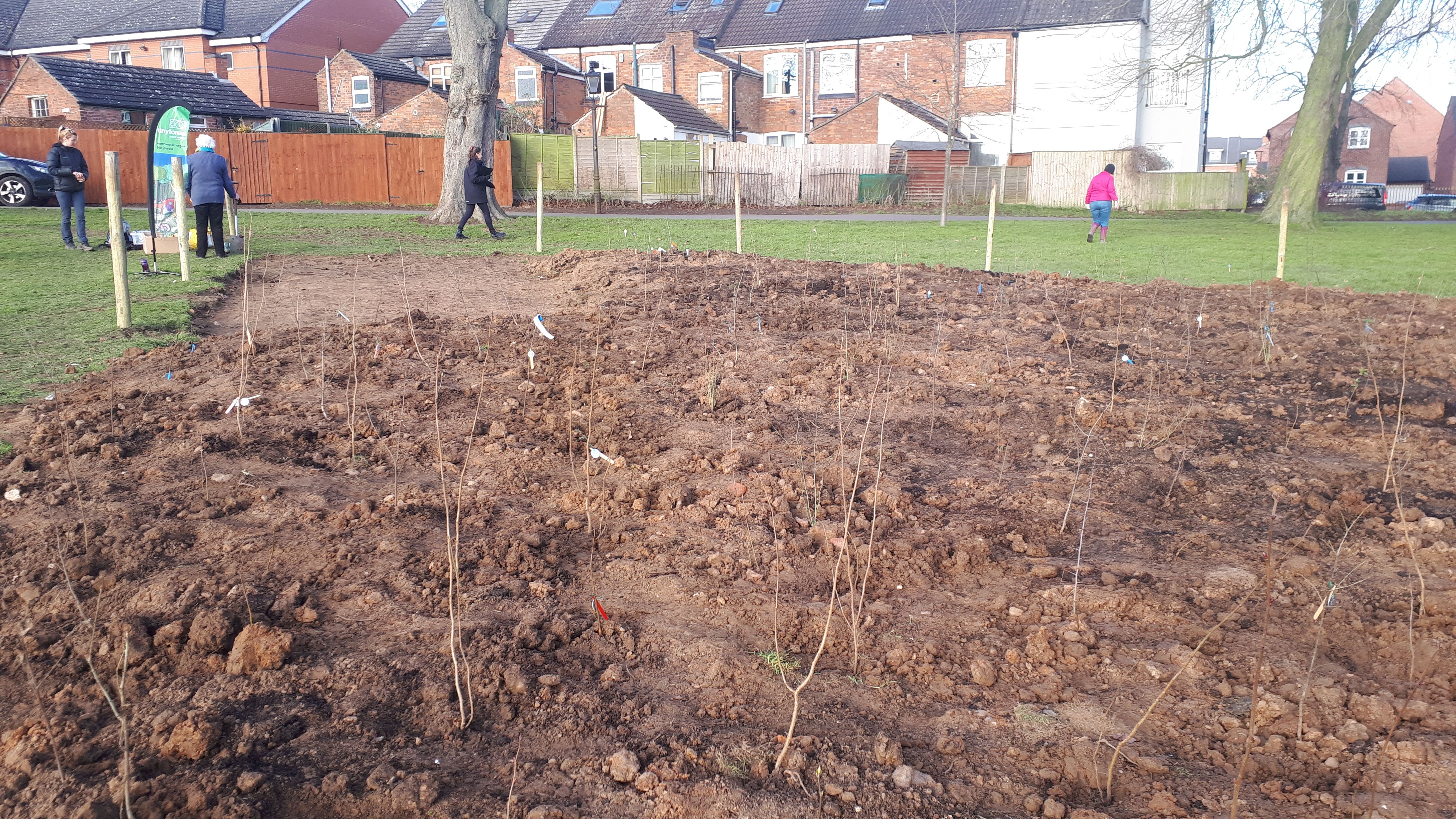 Queen's Park Planting Day. Photo Credit Earthwatch Europe