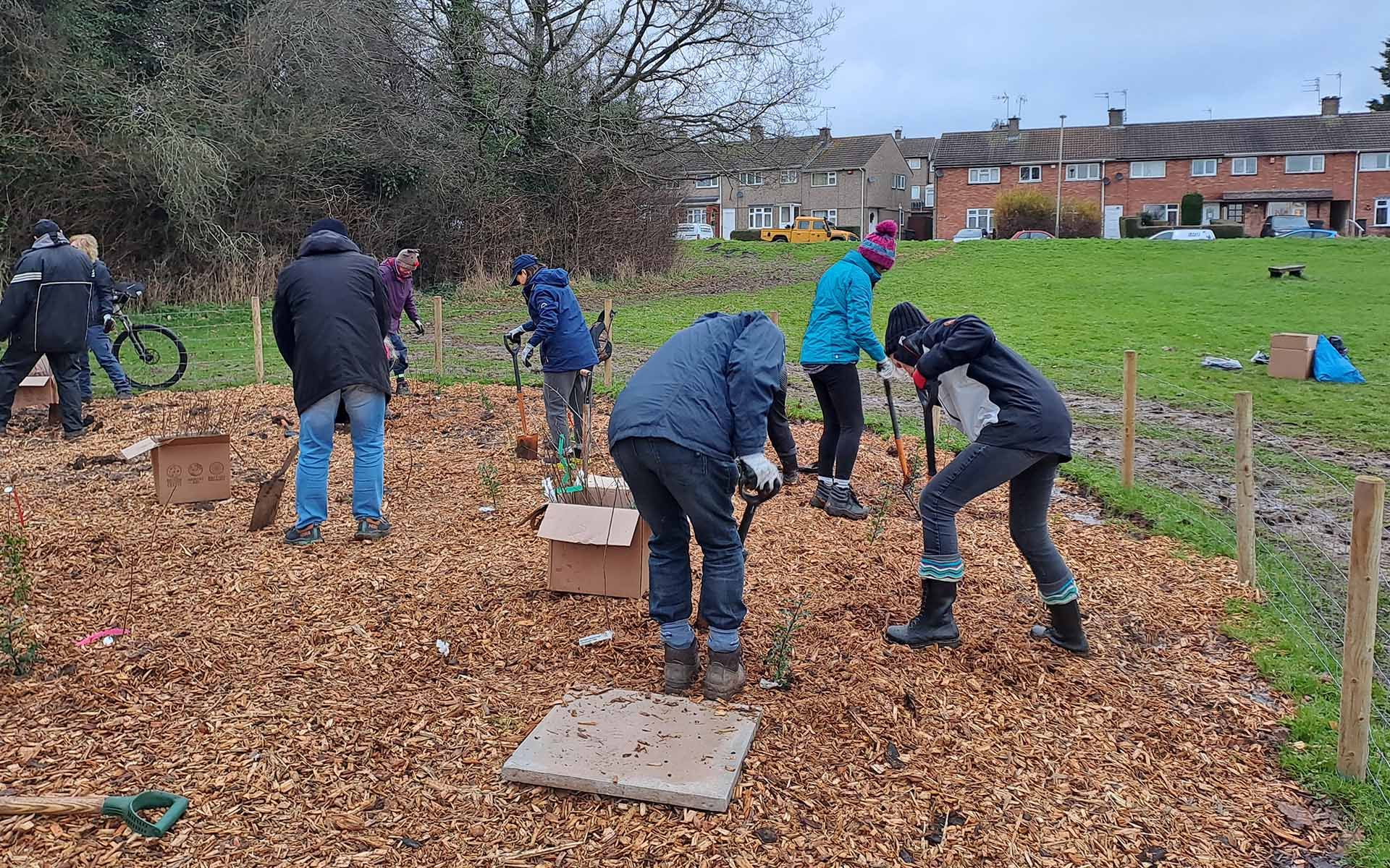 Featherstone Drive  Tiny Forest planting day with Tiles
