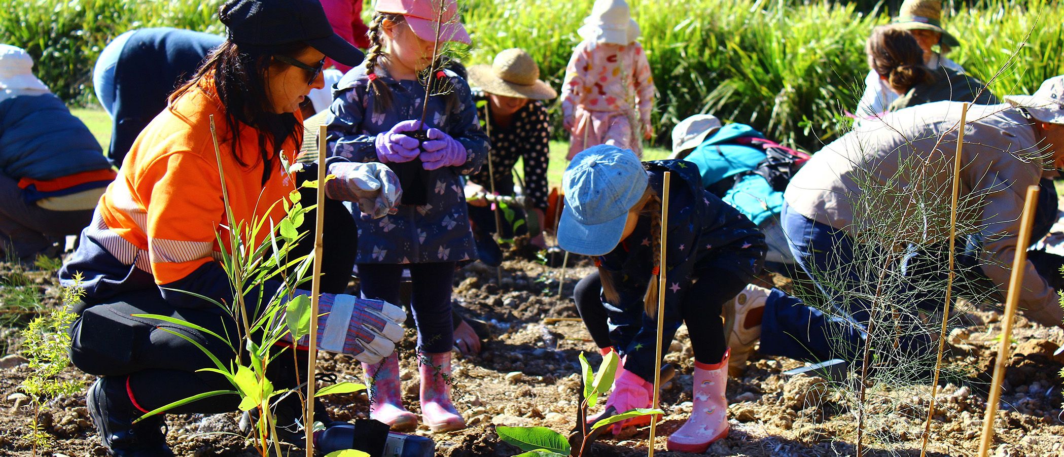 Lake Macquarie children planting trees