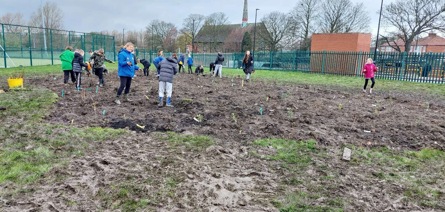 March 2024: Tiny Forest Planting Day Lord Blyton Primary School (Photo Credit: Earthwatch Europe)