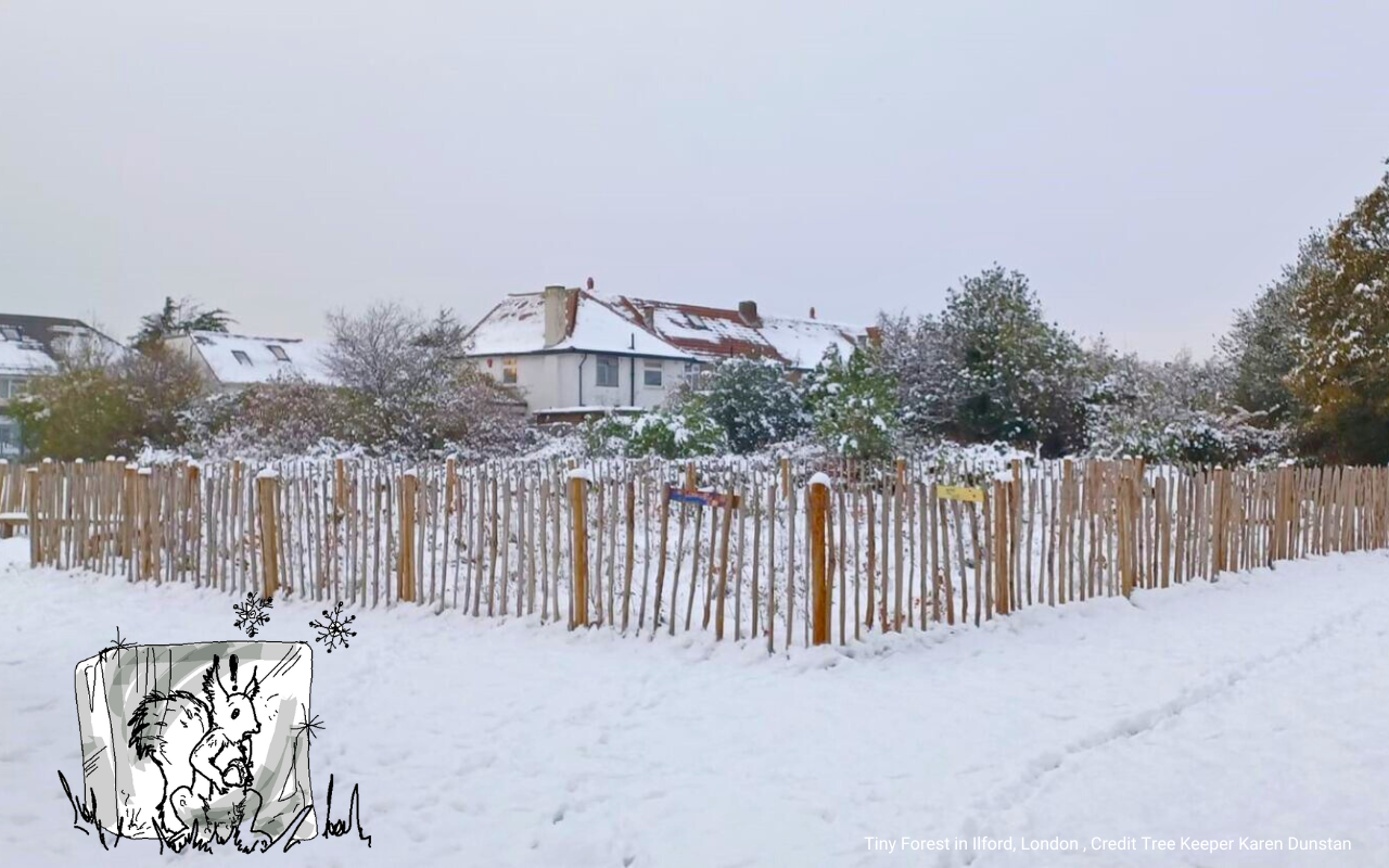 Action for nature: snow in Tiny Forest