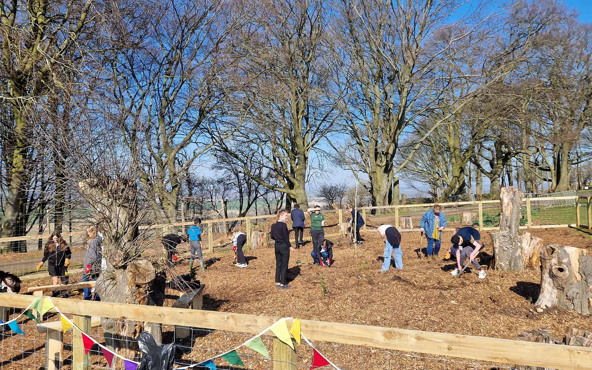 Whipsnade Zoo Tiny Forest school planting team
