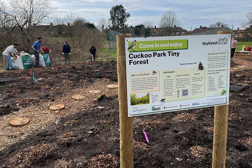 Cuckoo Park