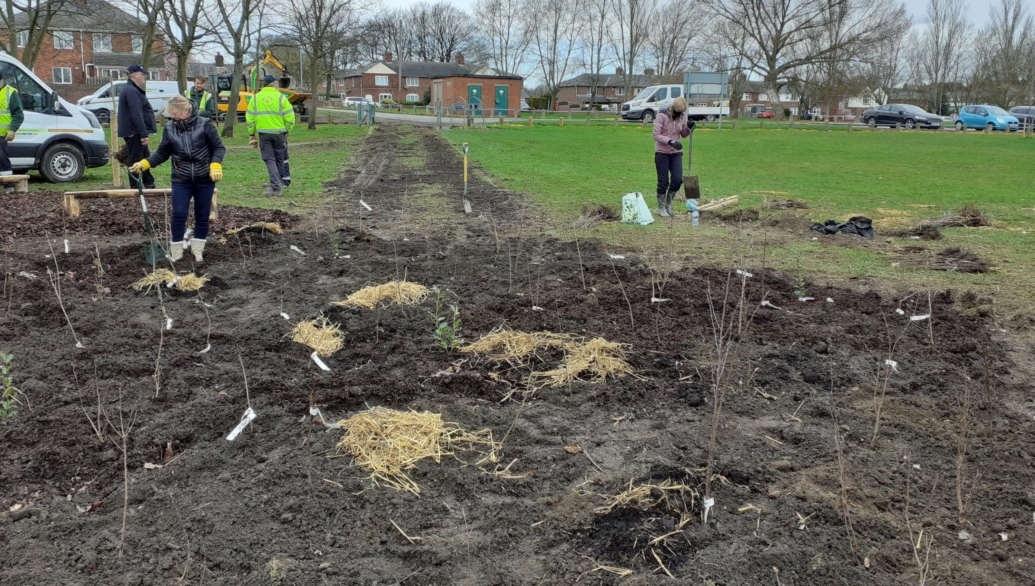 March 2021: Barnsley's first Tiny Forest is planted (Photo credit Barnsley Council)