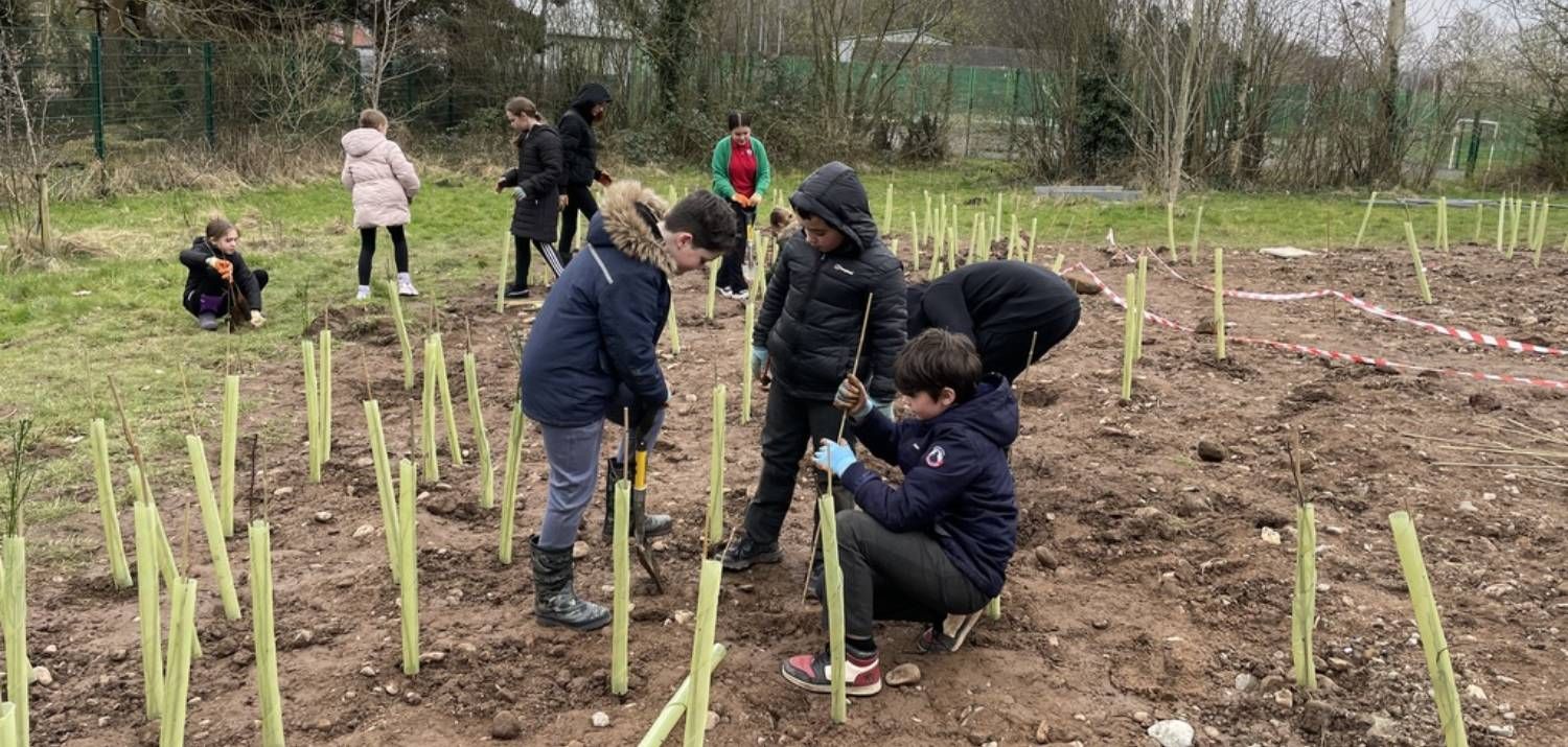 Hard work at the Tiny Forest Planting Day (Photo Credit: Wrexham Council)