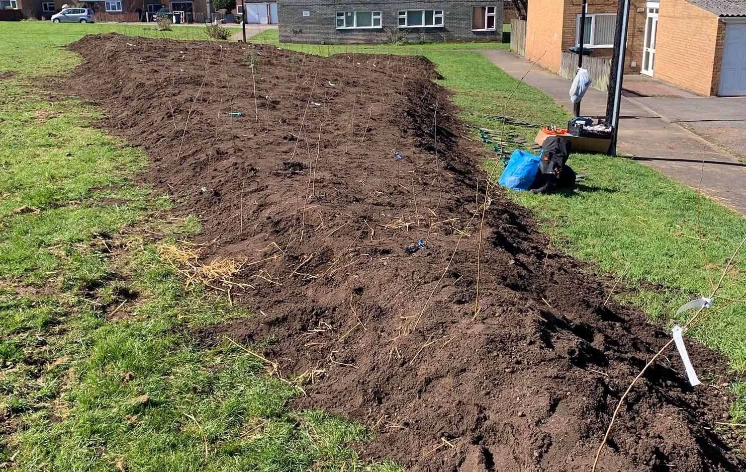 Foresters Road Tiny Forest location planted and soil prep
