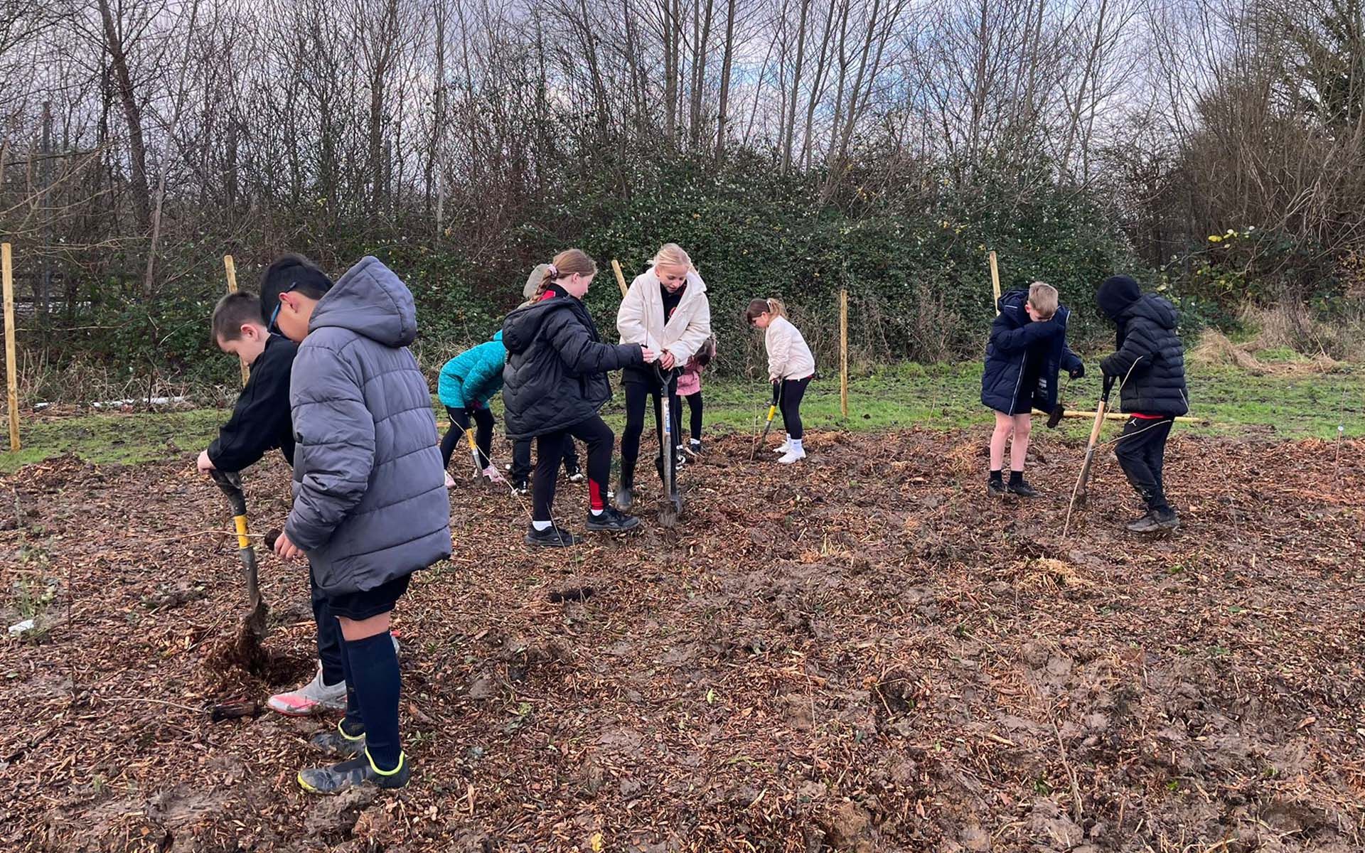 Robert Bloomfield Academy Tiny Forest planting School Group planting trees