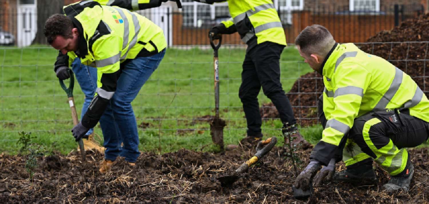 February 2024: Planting day Trinity way /Old Oak Road Acton Tiny Forest. (Photo Credit: Micrcosoft)