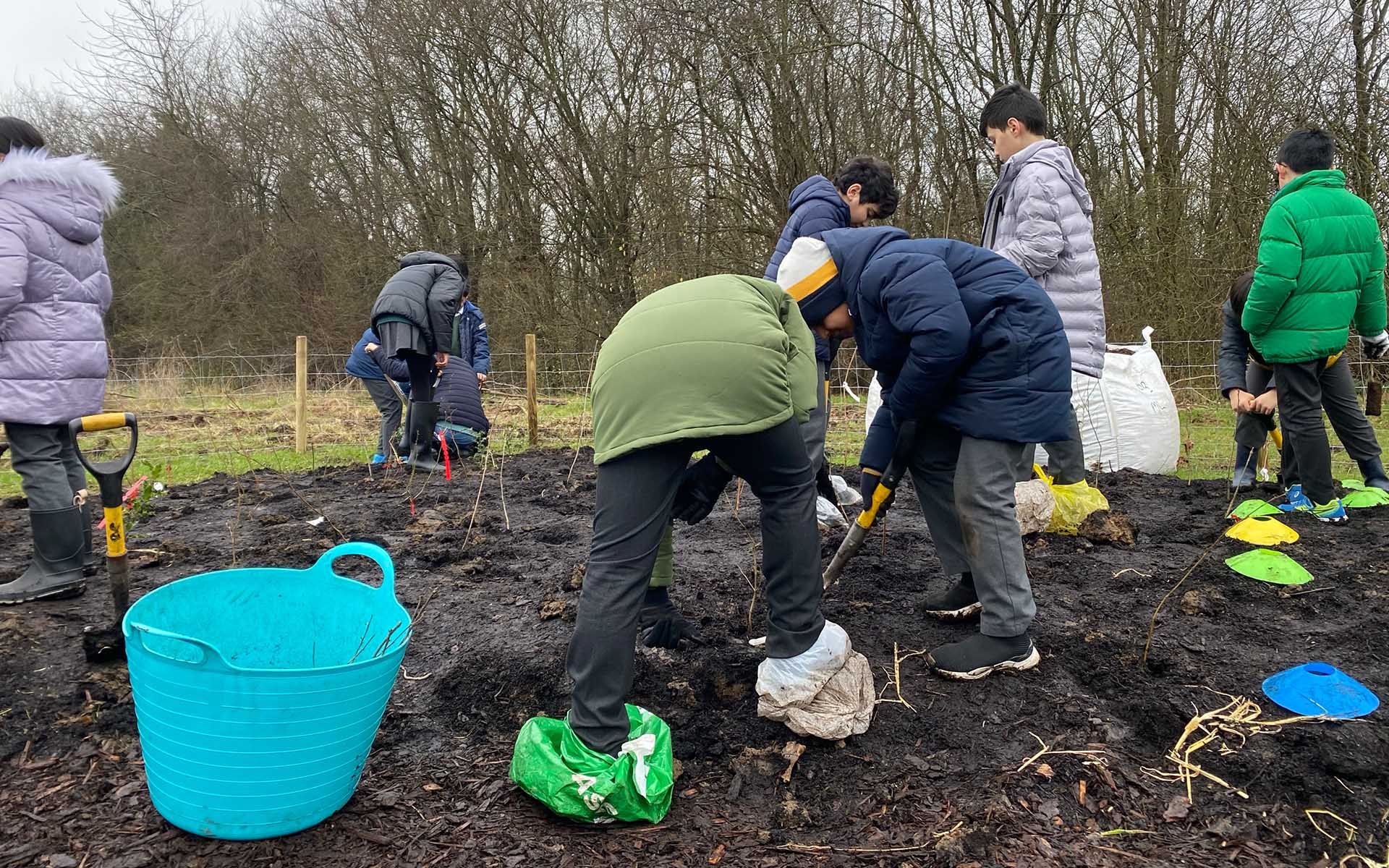 West Acton Primary Tiny Forest school children planting trees