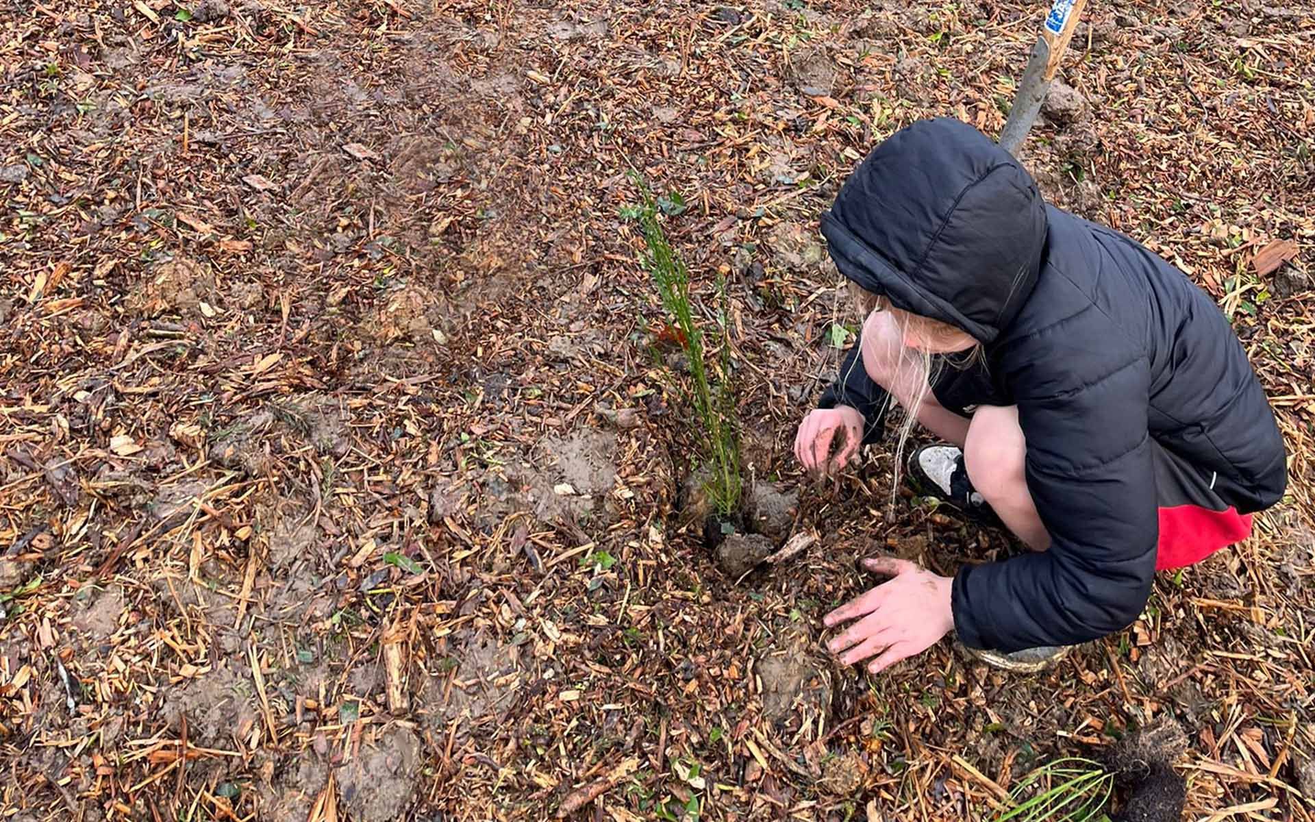 Robert Bloomfield Academy Tiny Forest planting a tree