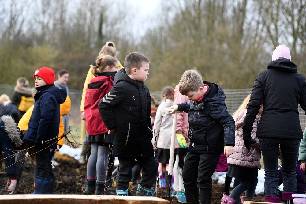 The Monkton Park Tiny Forest is planted. Photo Copyright Chippenham Town Council