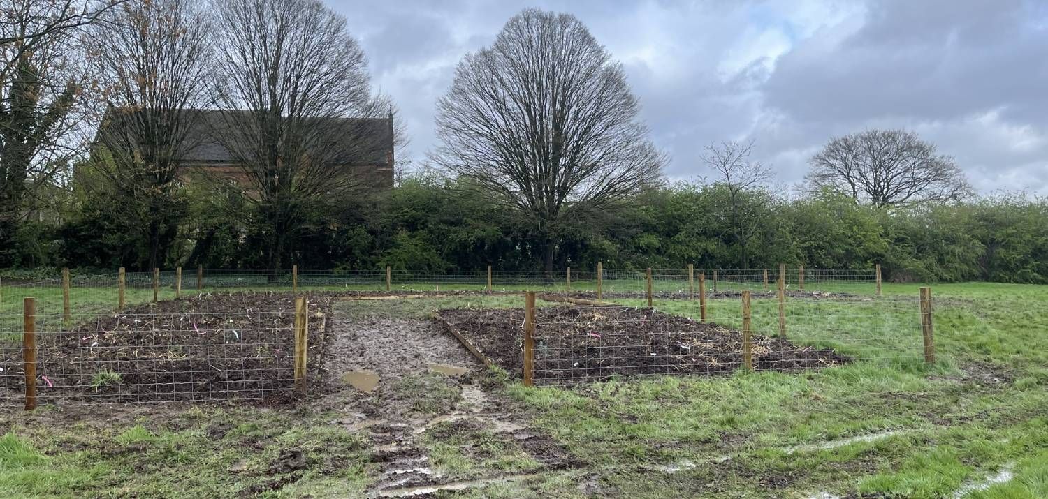 Tiny Forest site New River Sports Ground March 2024 (Photo Credit: Earthwatch Europe)