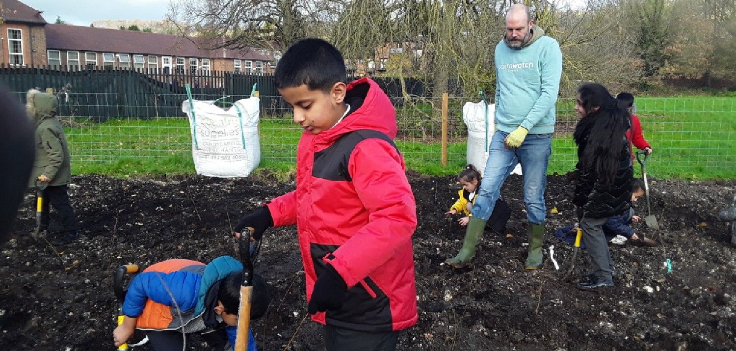 Millbrook Combined School students planting their Tiny Forest. Photo Credit: Millbrook Combined School