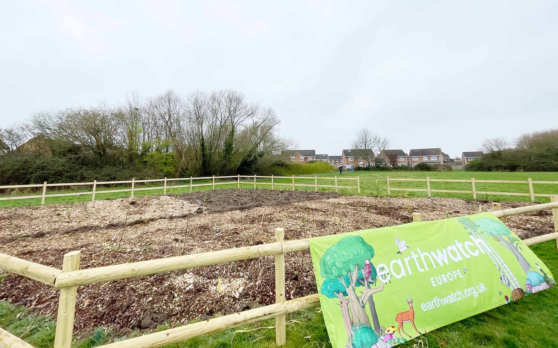 Walford Avenue Open Space Tiny Foprest Site