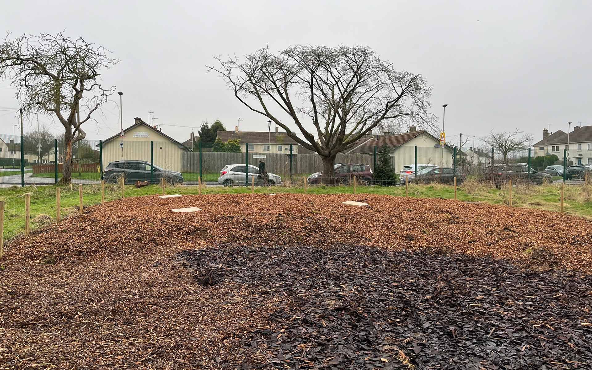 Eyres Monsell Primary School Tiny Forest site