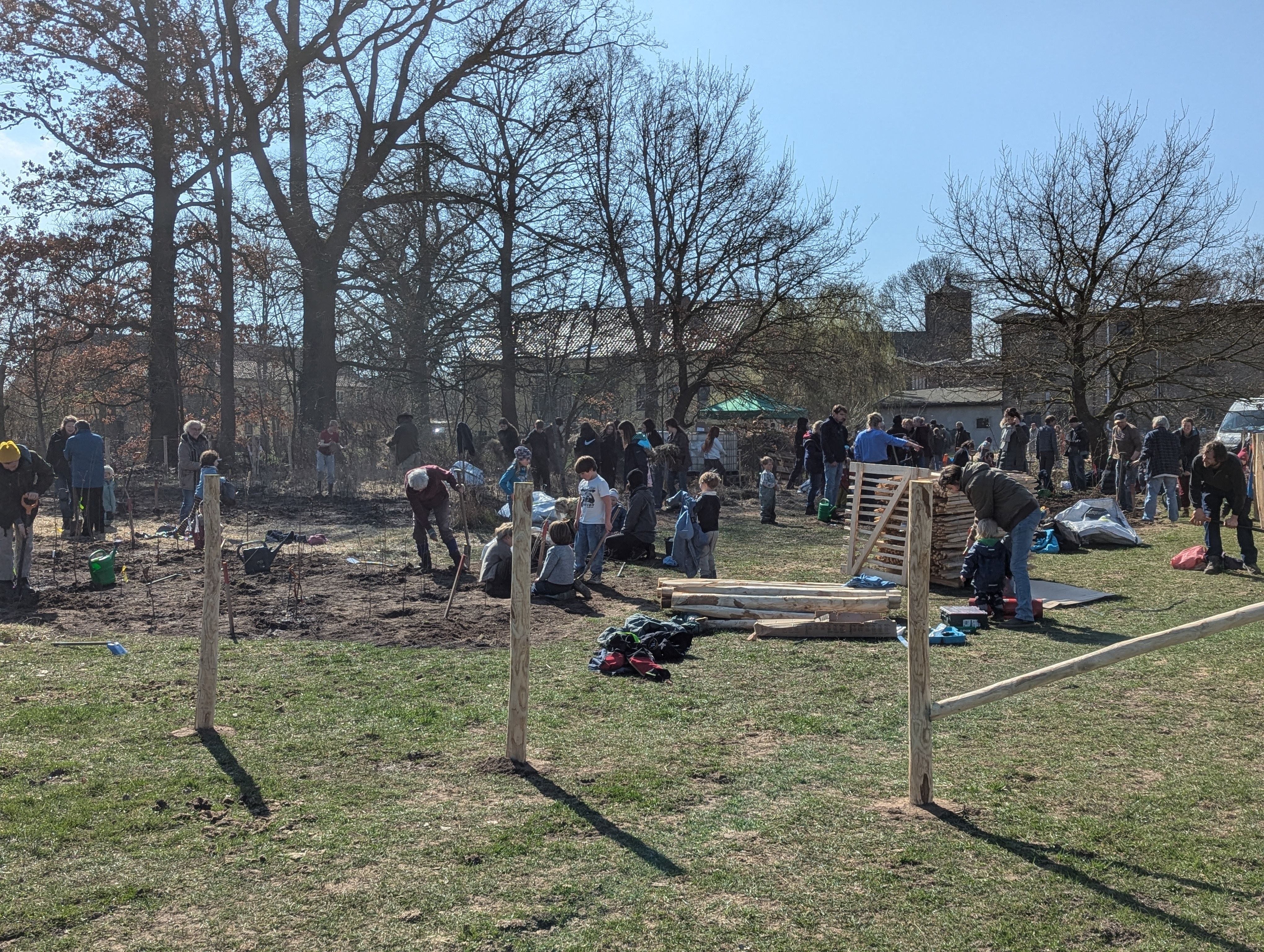 Tiny Forest Rohrlack, planting day