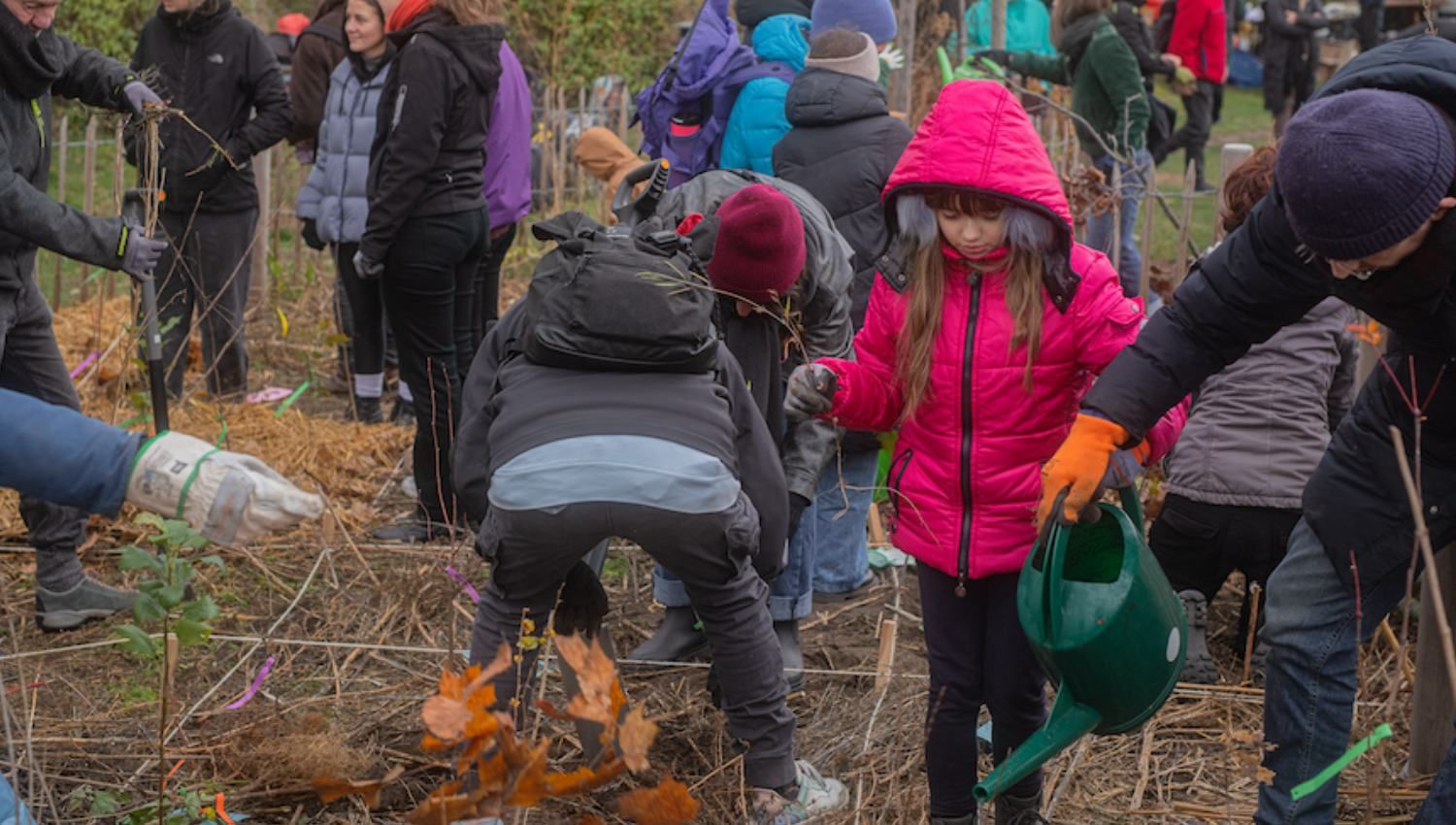 Moawald Moabiter Stadtgarten Kleine Kinder helfen beim Bäumepflanzen