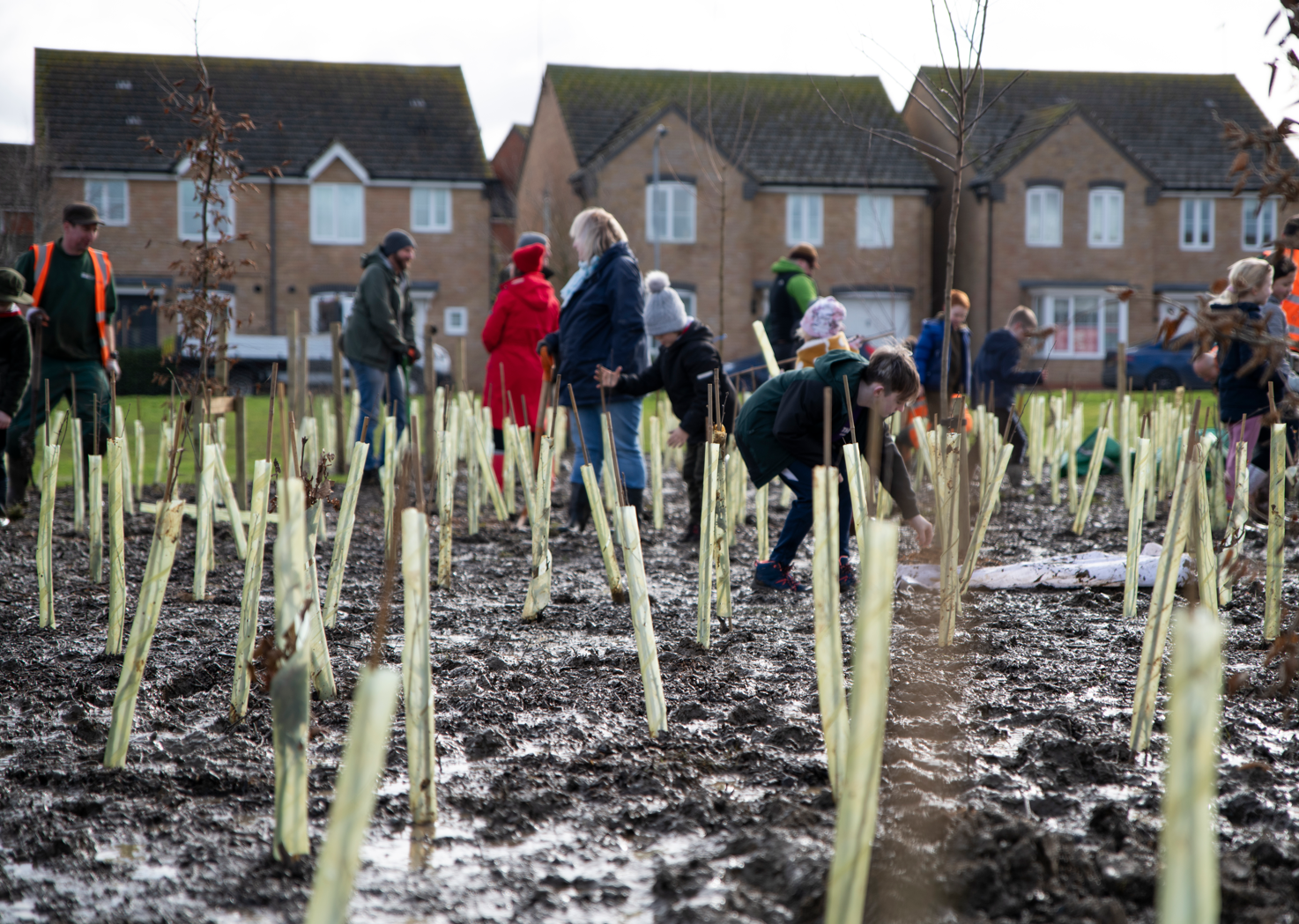 Scouts and residents planting the last trees in the forest.