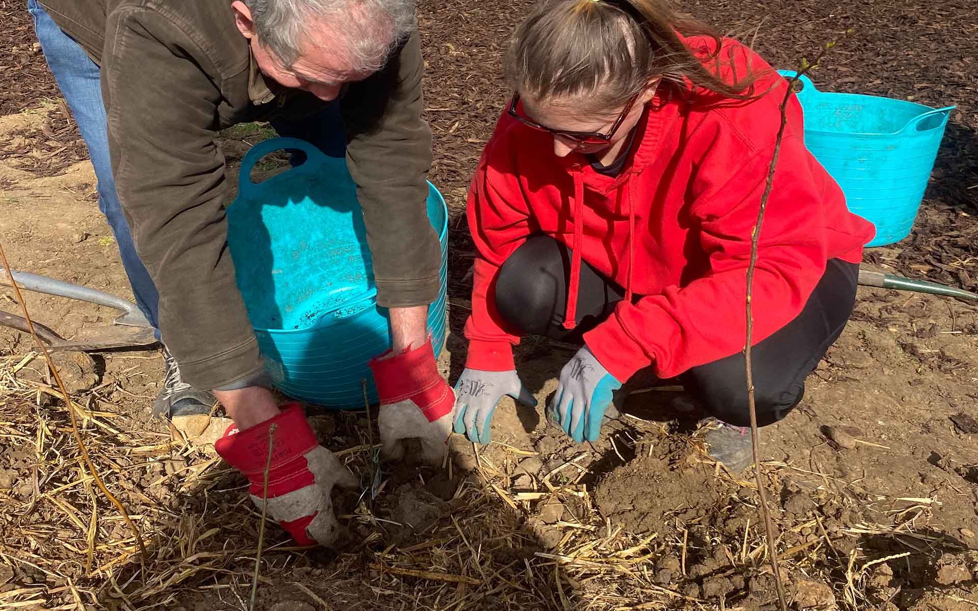 Devitt Way Tiny Forest locals planting trees