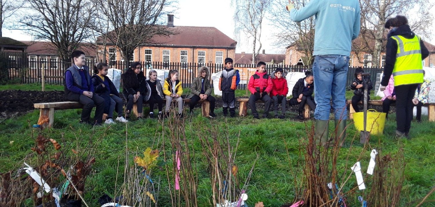 Millbrook Combined School students planting their Tiny Forest. Photo Credit: Millbrook Combined School