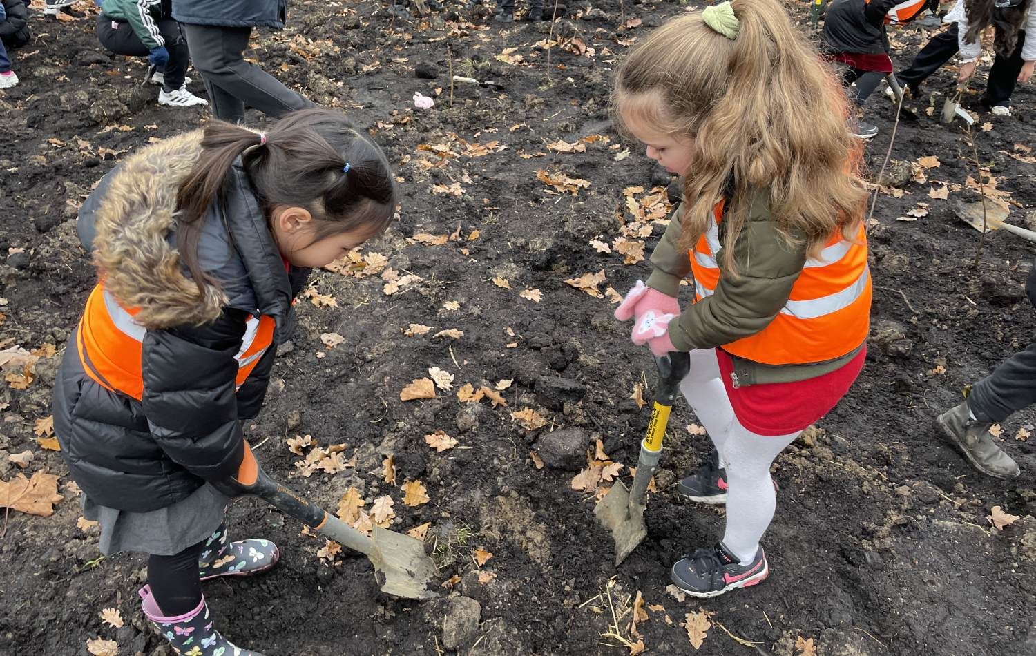 Wormholt Park Tiny Forest: Children planting a tree