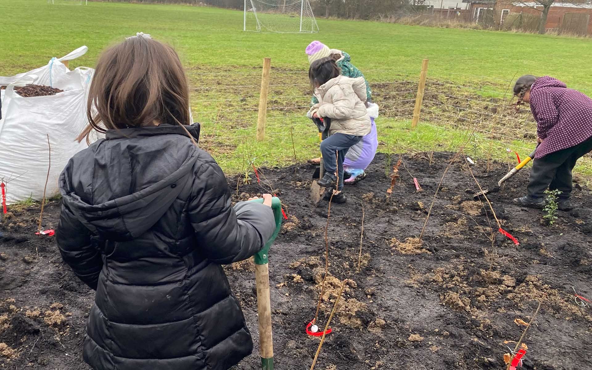 West Acton Primary Tiny Forest planting school children