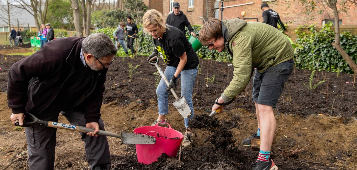 Hard work at the Planting Day (Photo Credit: Earthwatch Europe)