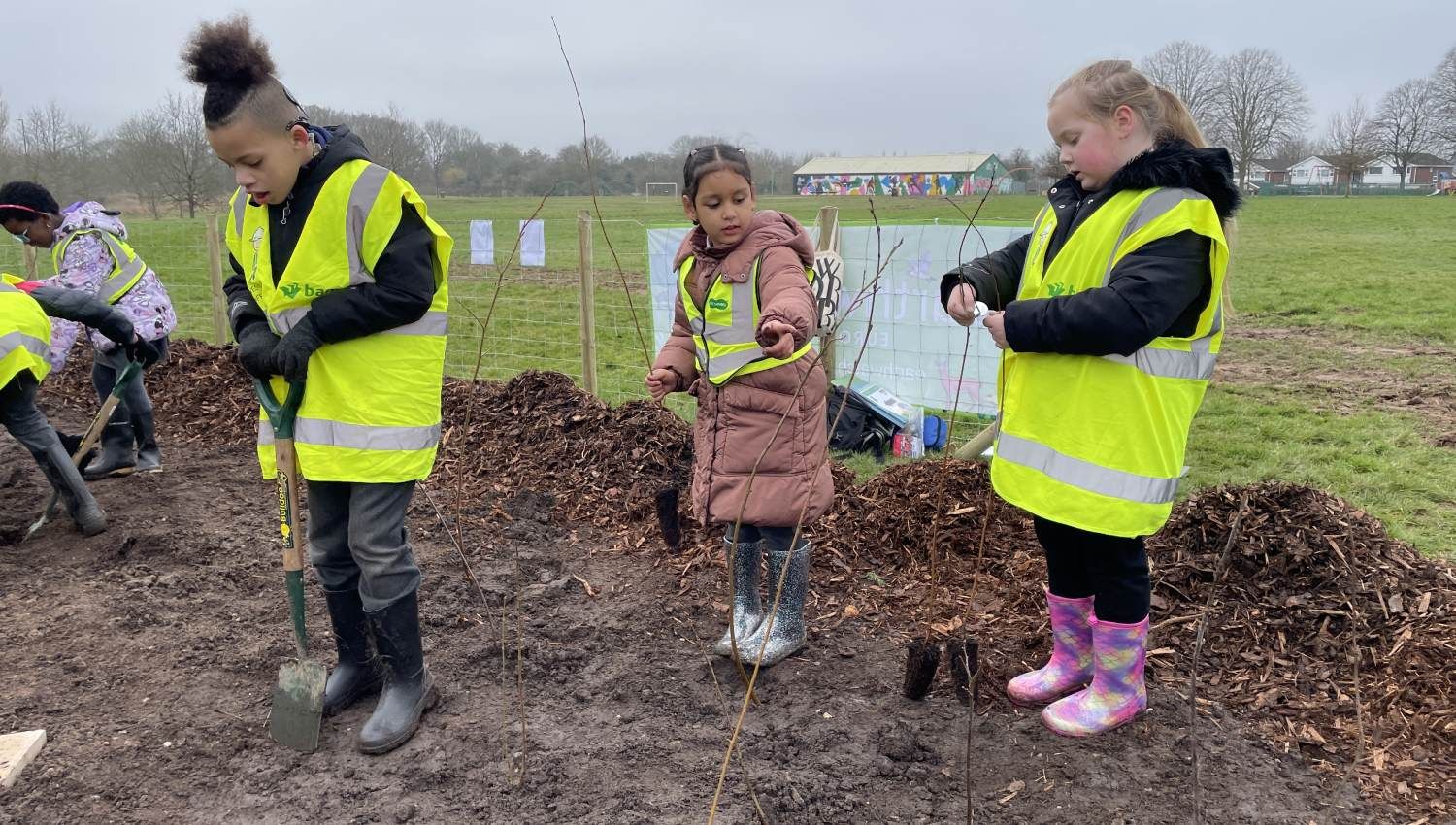 Whitley Common Tiny Forest planting day