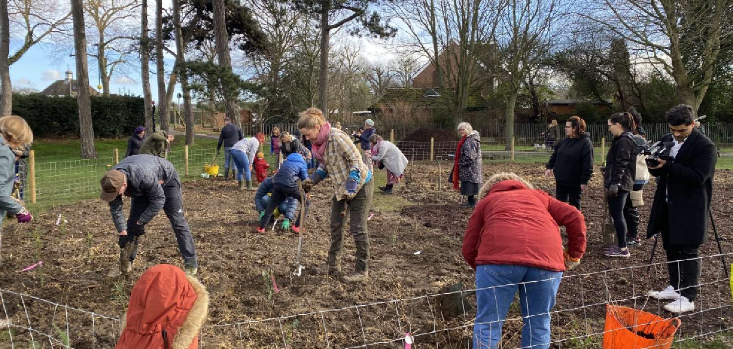Hard work at Cator Park Tiny Forest February 2024 (Photo Credit: Earthwatch Europe)