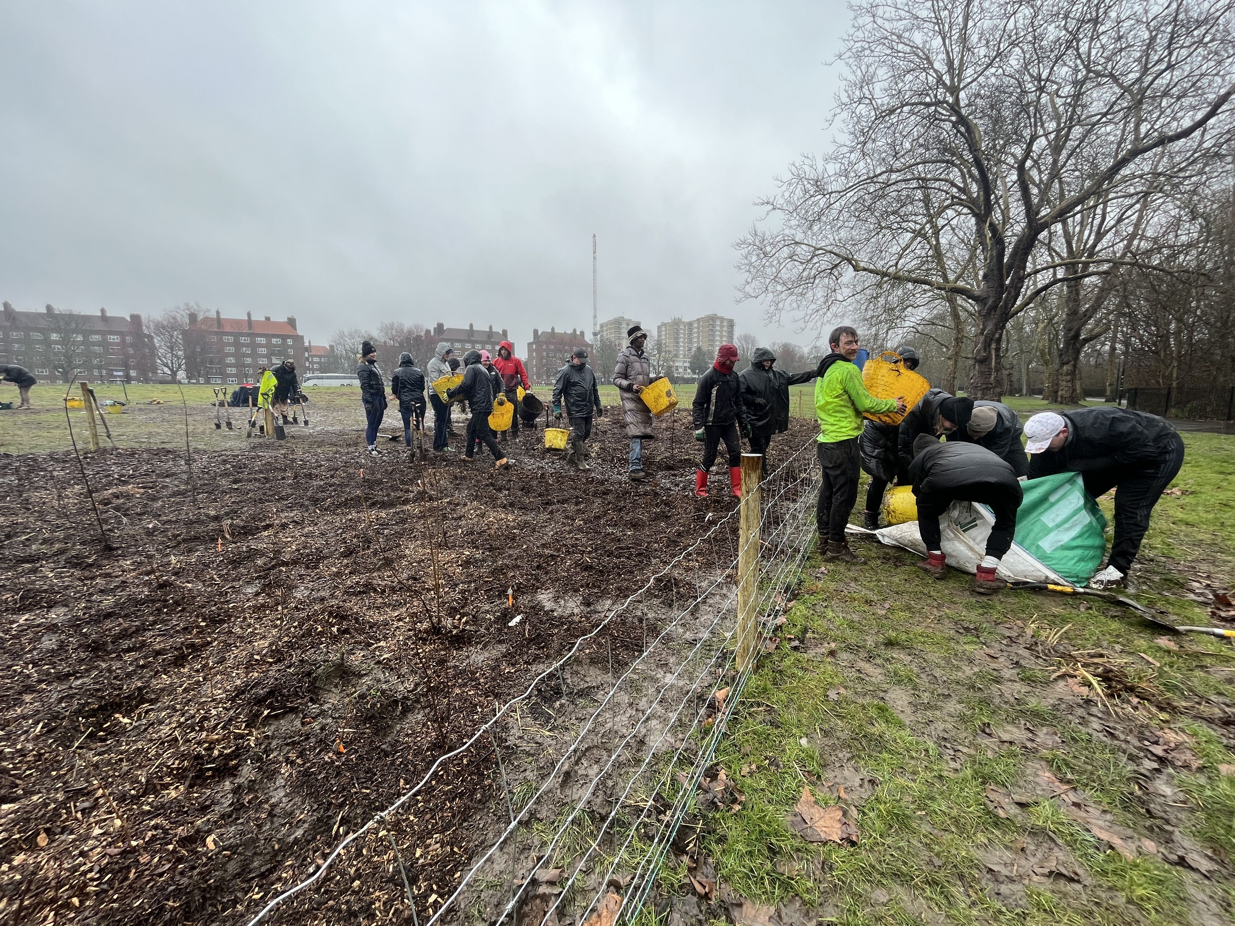Peckham Rye Park and Common Tiny Forest. Planting day March 23 - Photo Credit Earthwatch Europe