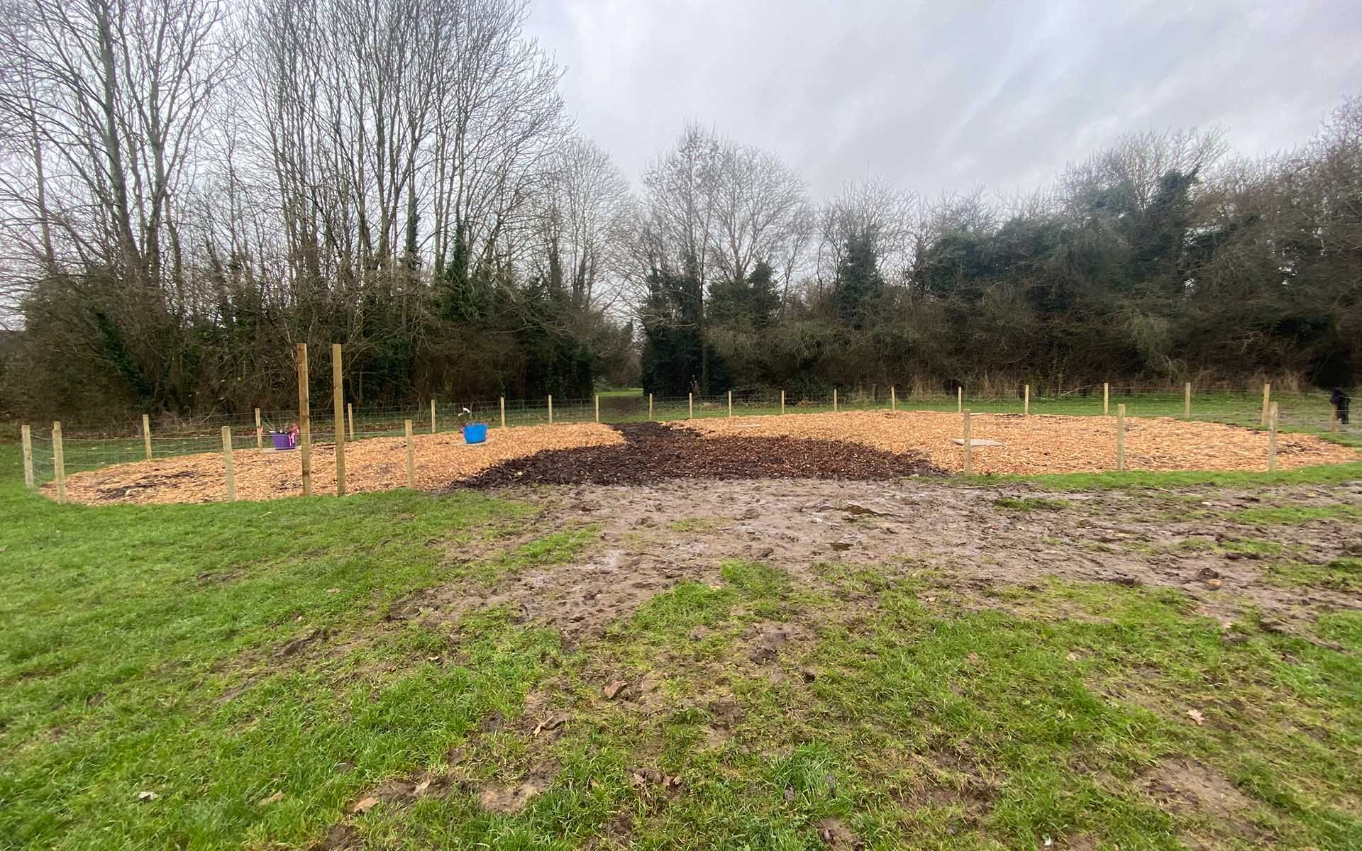 Featherstone Drive  Tiny Forest site