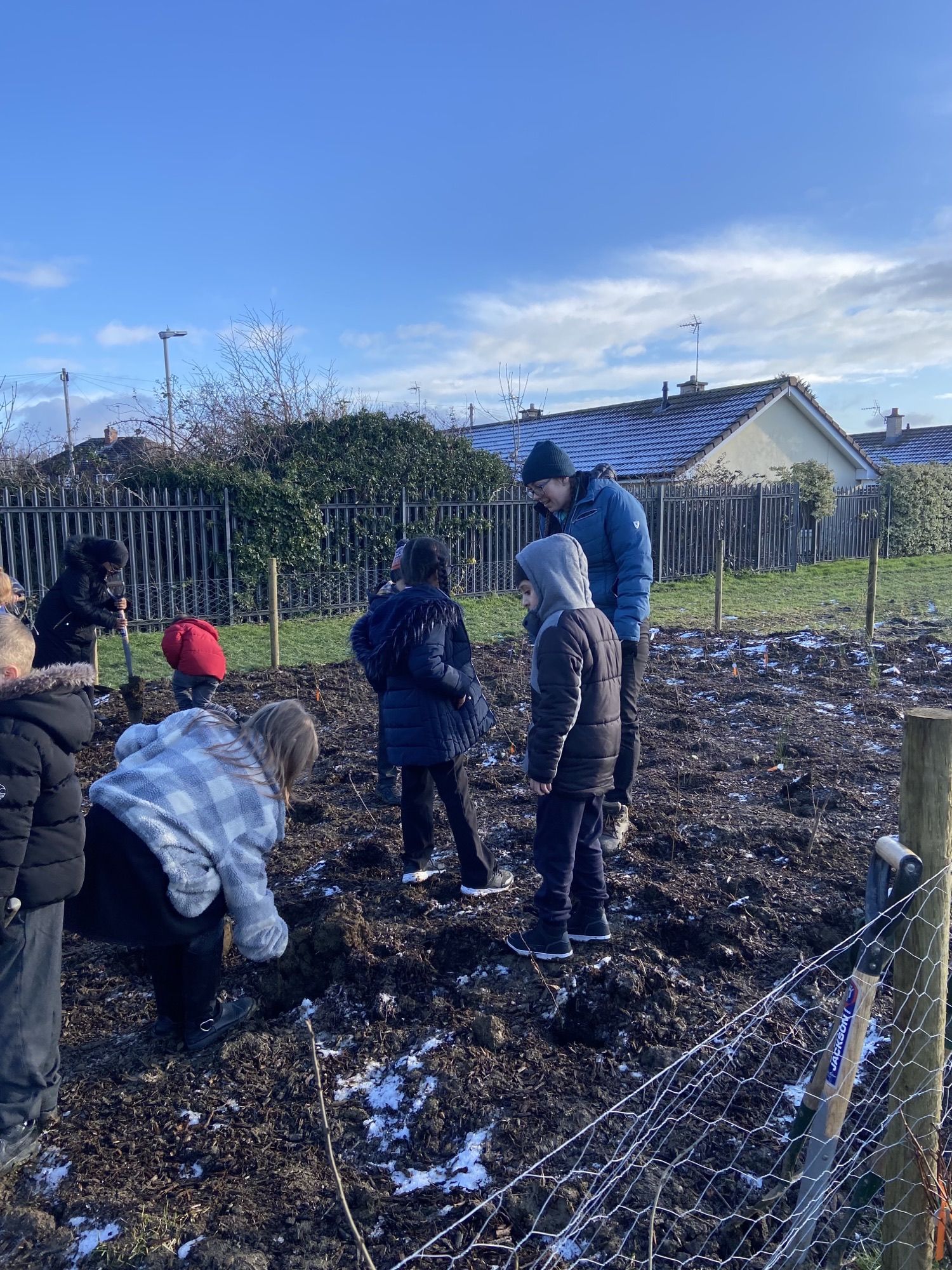 Mowmacre Hill Primary: Planting Day Jan 2023