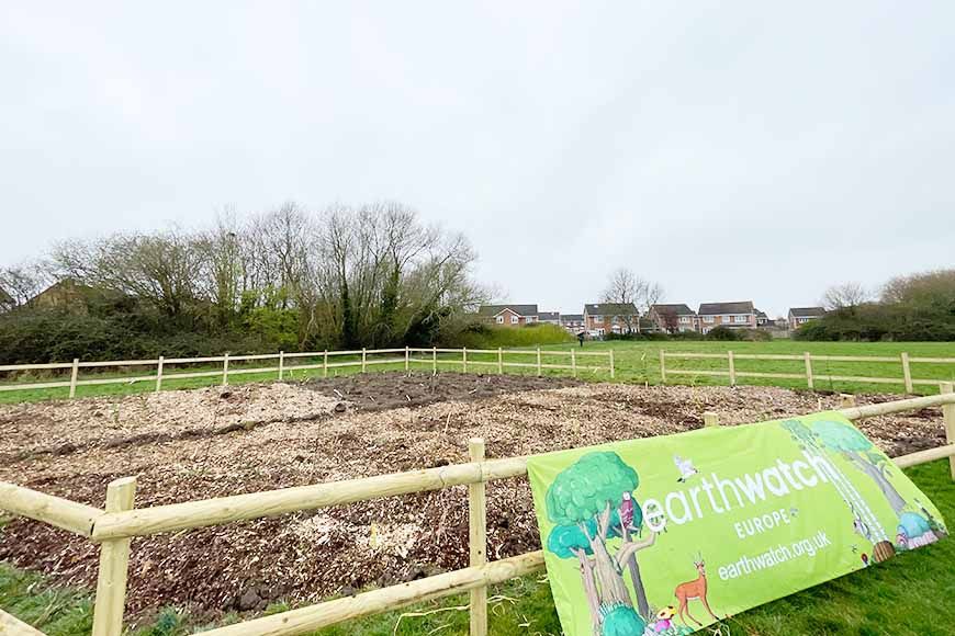 Walford Avenue Open Space