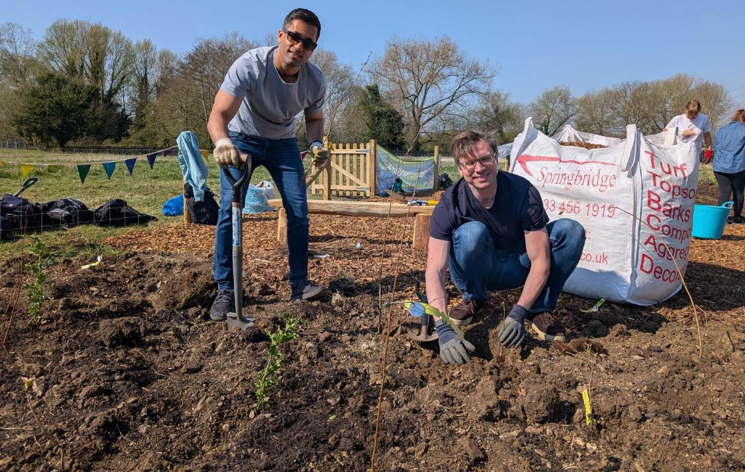 West Meadows, Staines Tiny Forest: Planting trees