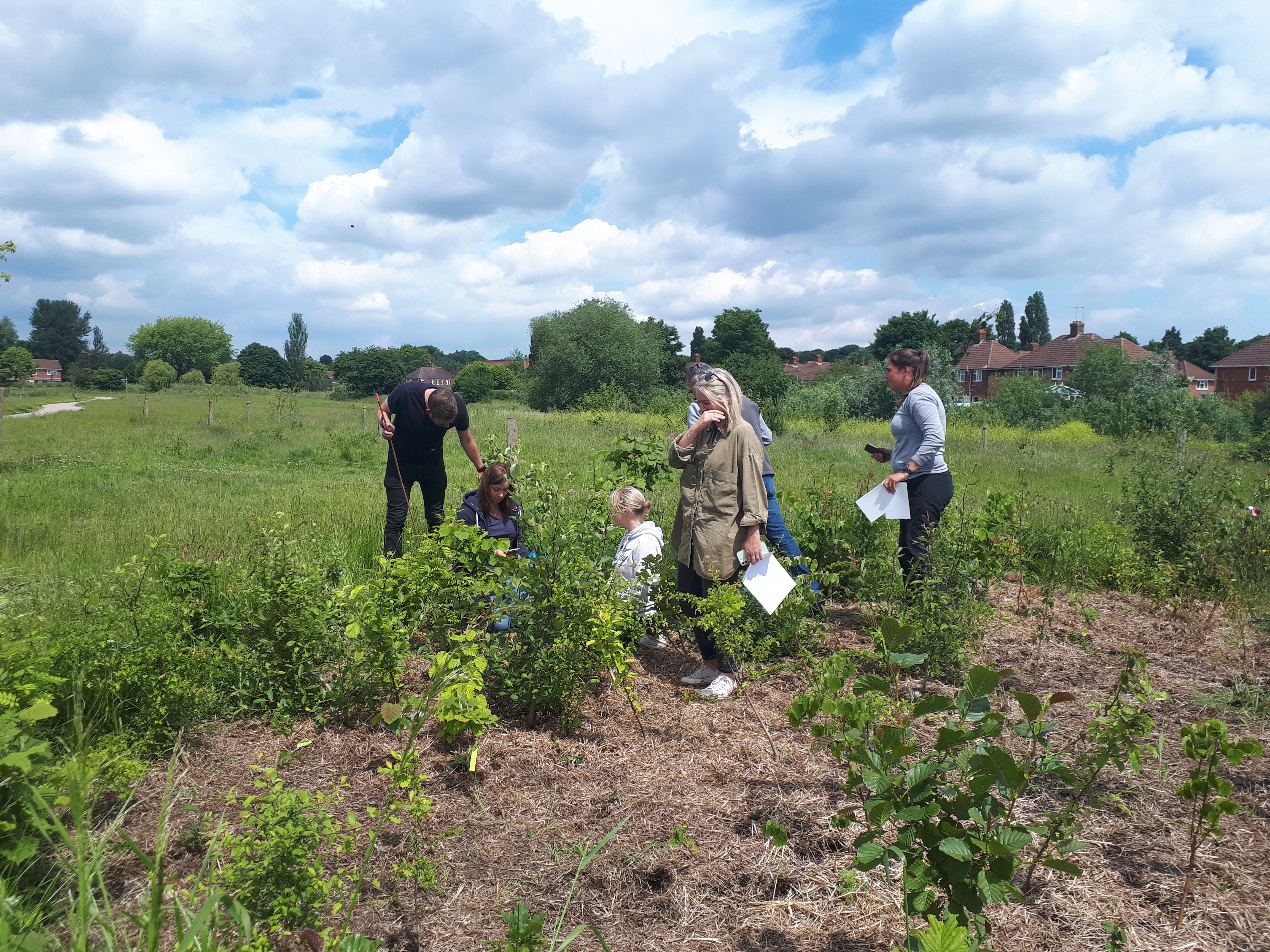 June 2022: Fever Tree Volunteer for Citizen Science Data Collection. Photo credit: Earthwatch Europe