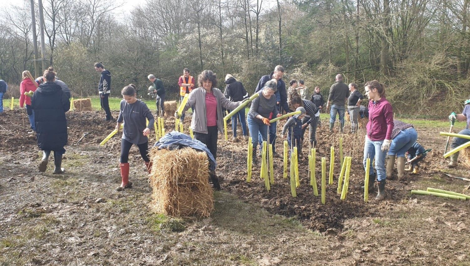 March 2020: Planting day (Photo credit Earthwatch Europe)